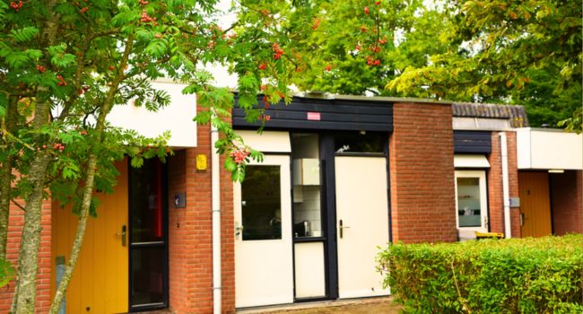 De hort opvang en logeren Wognum VG