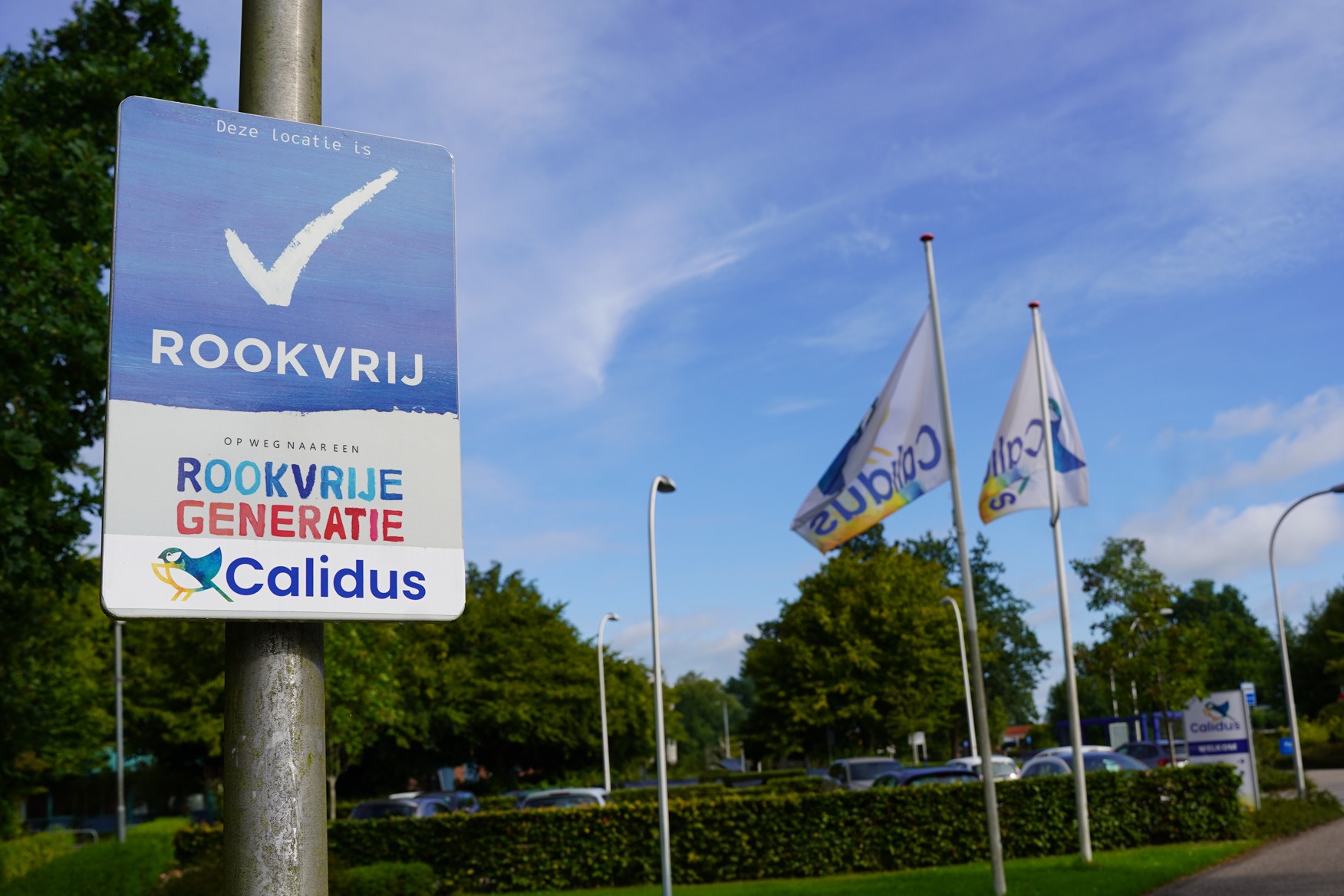 Rookvrije Generatie Bord